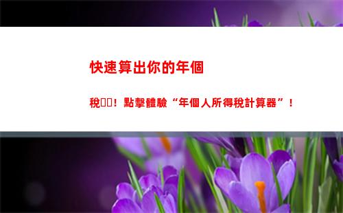 個人所得稅分類所得項目(個人所得稅綜合所得扣除項目)